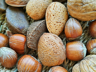 Image showing various nuts in the shell