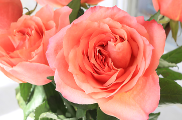 Image showing Beautiful bouquet of delicate roses