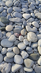 Image showing Background from gray sea pebbles