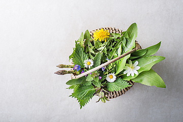 Image showing Spring herbs and plants