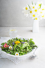 Image showing Spring herbs and plants