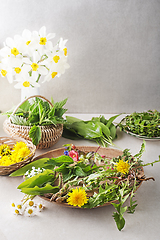 Image showing Spring herbs and plants