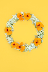 Image showing Summer Elderflower and Nasturtium Flower Wreath