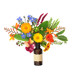 Image showing Abstract Flower and Herb Arrangement for Aromatherapy Essential 