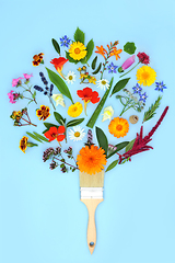 Image showing Surreal Colourful Summer Flower Paintbrush Splash