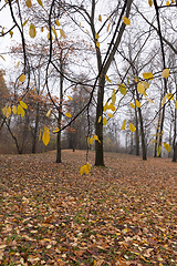 Image showing Autumn season parks