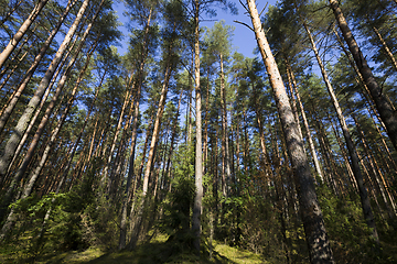 Image showing sunny weather in the autumn season