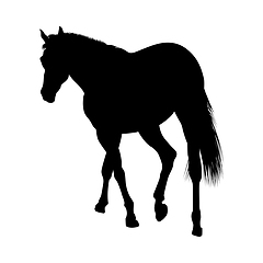 Image showing Horse Silhouette