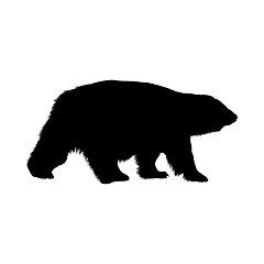 Image showing Polar Bear Silhouette