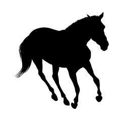 Image showing Horse Silhouette