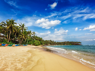 Image showing Mirissa beach, Sri lanka