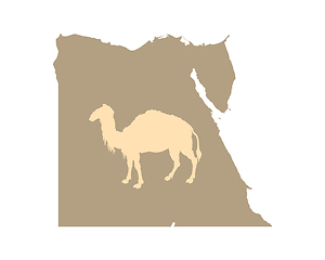 Image showing Egypt and camel on white