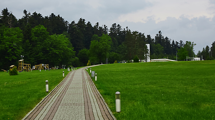 Image showing a texture of walk way and green field