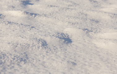 Image showing Snow drifts in winter - the territory covered with snow in the winter season. Photo taken in close-up