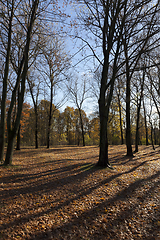 Image showing hilly territory in autumn season