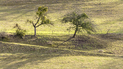 Image showing rural landscape in Hohenlohe