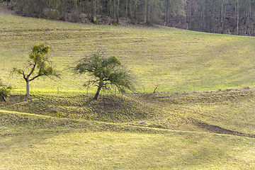 Image showing rural landscape in Hohenlohe