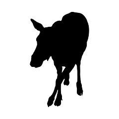 Image showing Donkey Silhouette