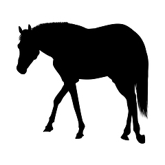 Image showing Horse Silhouette