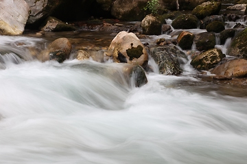 Image showing Crni Drim River in Macedonia