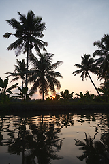 Image showing Sunset on Kerala backwaters