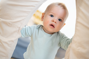 Image showing Portrait of adorable curious infant baby boy child taking first steps holding to father's pants at home. Cute baby boy learning to walk.