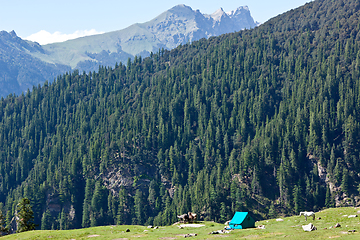 Image showing Camp in mountains. Kullu Valley, Himachal Pradesh, India