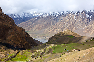 Image showing Fields in Spiti Valley