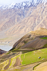 Image showing Fields in Spiti Valley