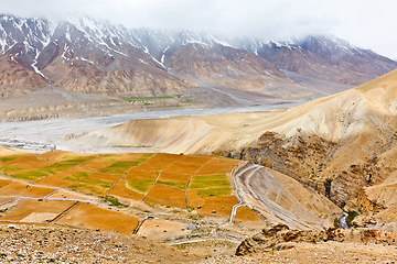 Image showing Fields in Spiti Valley