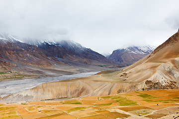 Image showing Fields in Spiti Valley