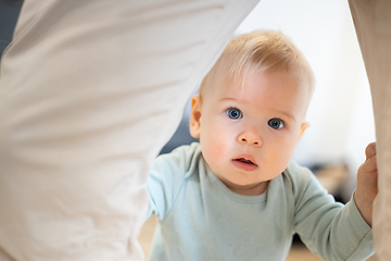 Image showing Portrait of adorable curious infant baby boy child taking first steps holding to father's pants at home. Cute baby boy learning to walk.