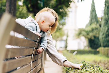 Image showing Young mother with her cute infant baby boy child leaning over back of wooden bench towards bushes in city park, observing green plant with young leaves and learn about life and nature.