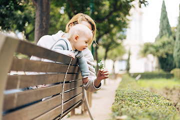 Image showing Young mother with her cute infant baby boy child leaning over back of wooden bench towards bushes in city park, holding and observing green plant with young leaves and learn about life and nature.