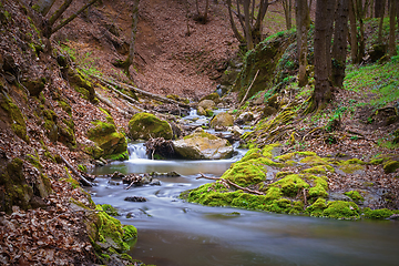 Image showing wild stream in Apuseni mountains