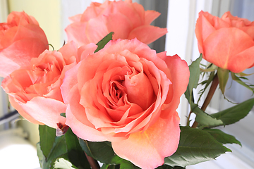 Image showing Beautiful bouquet of delicate roses