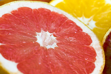 Image showing different types of citrus