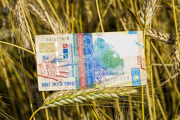 Image showing one beautiful new kazakhstan banknote