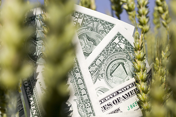 Image showing one American dollar pile , agricultural business