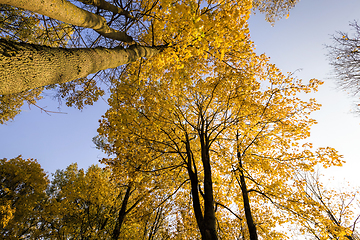 Image showing Sunny day in the autumn