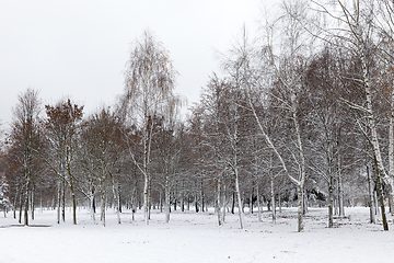 Image showing winter day after a snowfall