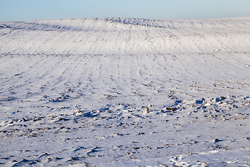 Image showing After snowfall