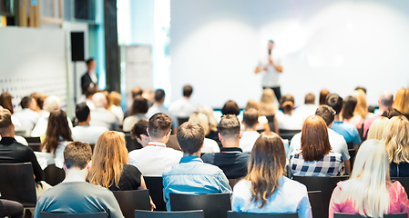 Image showing Business speaker giving a talk at business conference event.