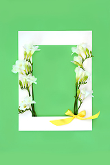 Image showing Freesia Flower Abstract Spring Frame