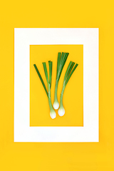 Image showing Spring Onions Health Food Abstract Background 