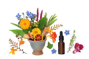 Image showing Summer Flowers and Herbs for Aromatherapy Essential Oil