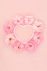 Image showing Valentines Day Pink Rose Flower Abstract Heart Design