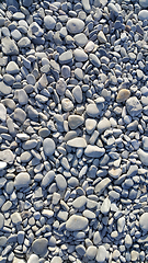 Image showing Background from gray sea pebbles