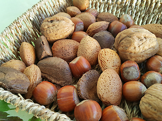 Image showing Various nuts in a wicker bowl