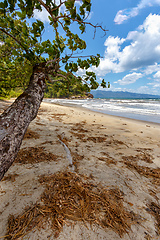 Image showing Beautiful paradise beach, Madagascar